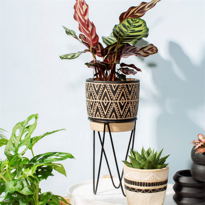 Sass & Belle Nomad Planter with wire Stand